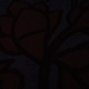 Meet your Posher, Divya